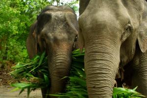 Thailandia centrale e meridionale - Tour & soggiorno balneare