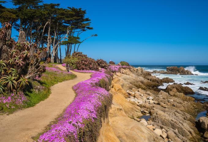 USA Côte ouest - Circuit