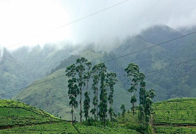 Sri Lanka - Circuit & séjour balnéaire