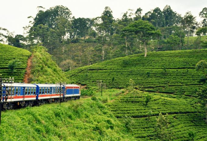 Sri Lanka - Circuit & séjour balnéaire