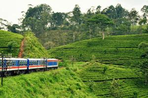 Sri Lanka - Rundreise & Baden