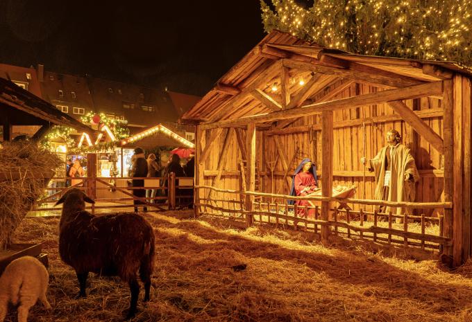 Weihnachtsmarkt Ulm - Carreise