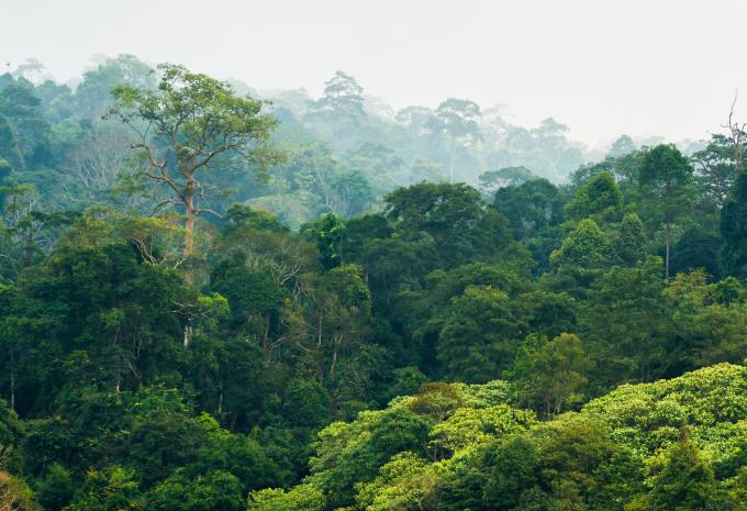 Nordthailand & Ko Samet - Rundreise & Baden