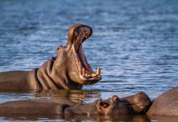 De Lisbonne à l'Afrique du Sud - Croisière de luxe, circuit et safari