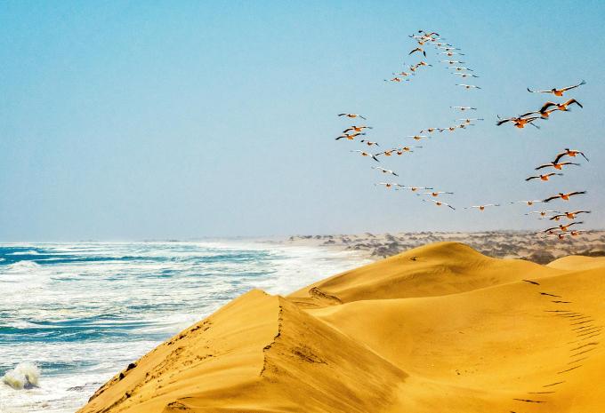 De Lisbonne à l'Afrique du Sud - Croisière de luxe, circuit et safari