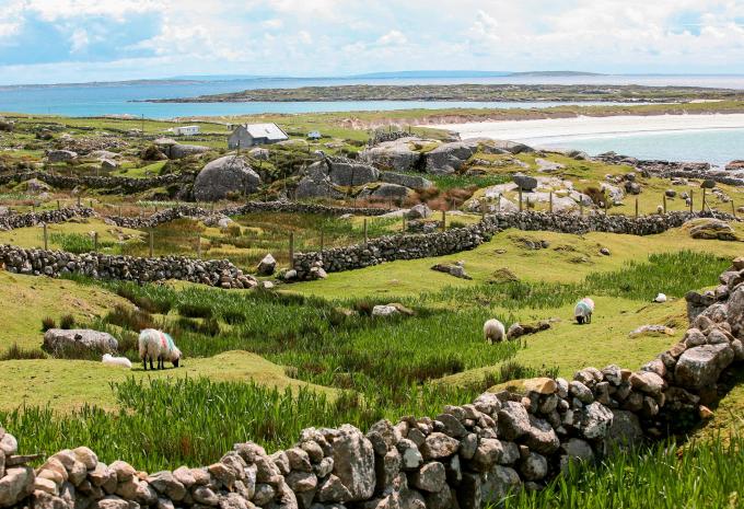 Klassisches Irland - Rundreise