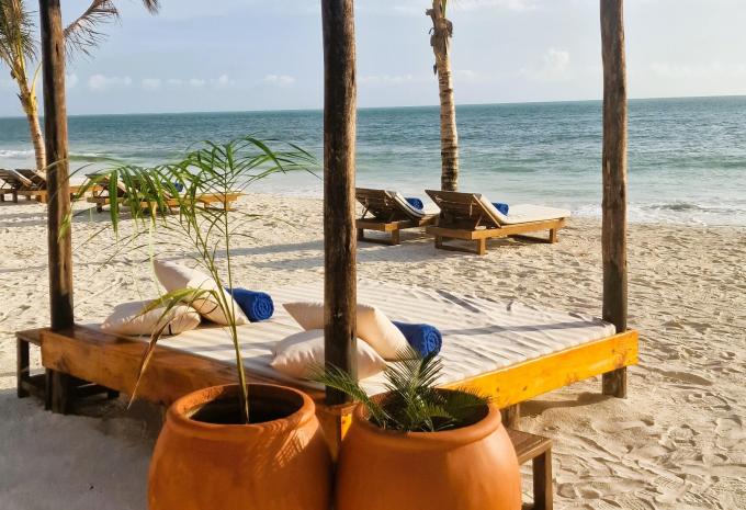 Zanzibar - Safari et baignade