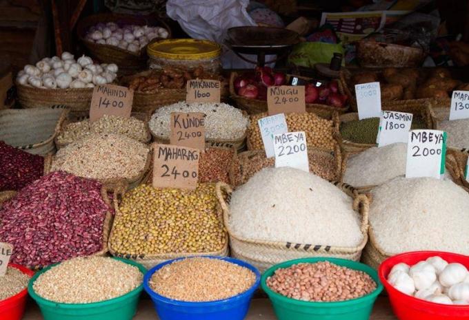 Zanzibar - Safari et baignade