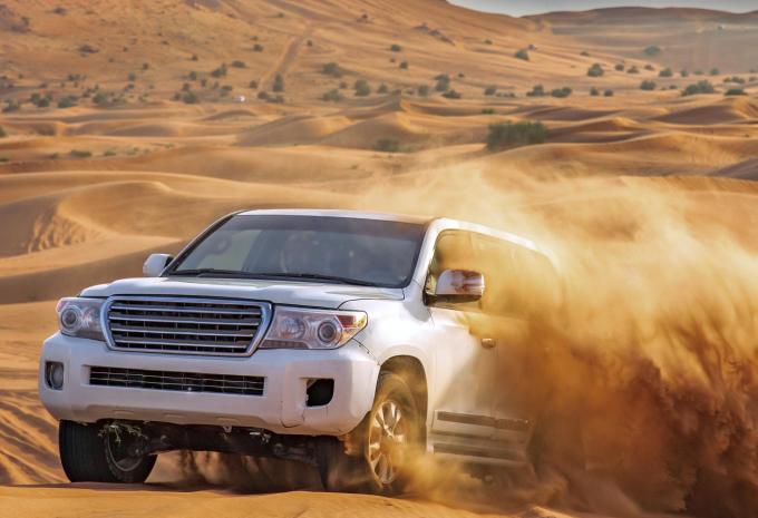 safari dans le désert