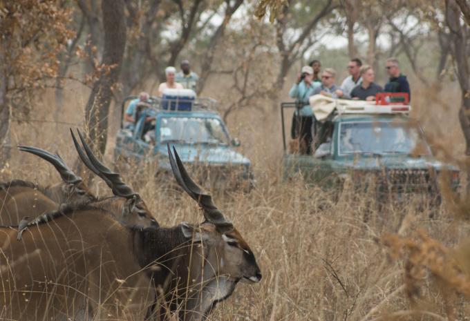 Gambia e Senegal - La magia dell'Africa occidentale - Tour e mare