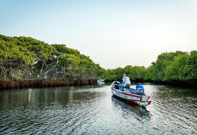 Gambia e Senegal - La magia dell'Africa occidentale - Tour e mare