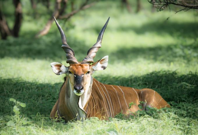 Gambia e Senegal - La magia dell'Africa occidentale - Tour e mare