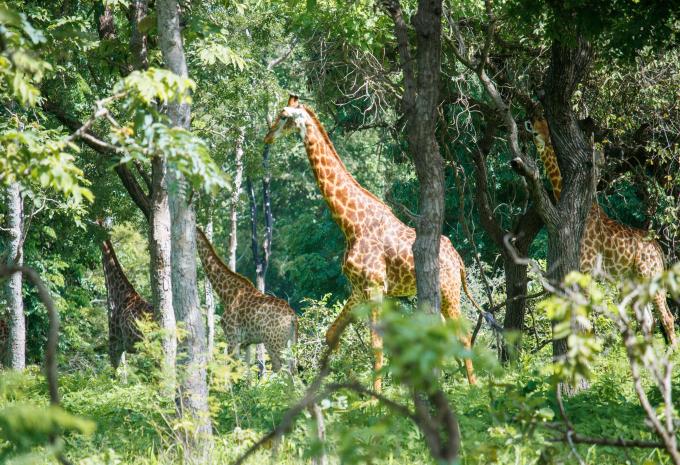 Gambia e Senegal - La magia dell'Africa occidentale - Tour e mare