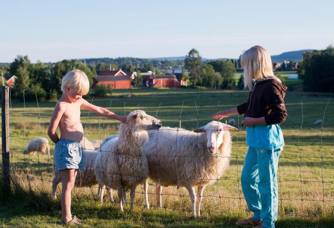 Vacanze in famiglia nel sud della Svezia