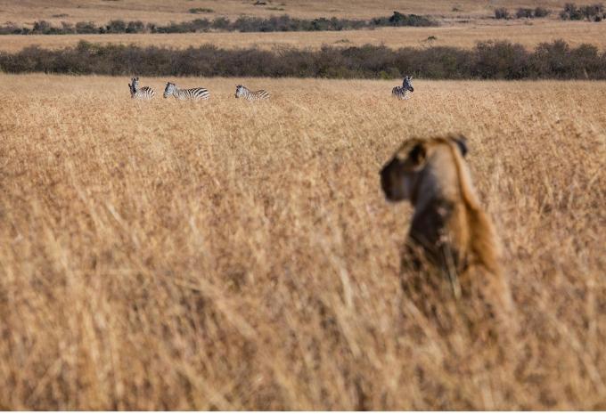 Botswana, Simbabwe & Südafrika - Abenteuer-Rundreise & Safari