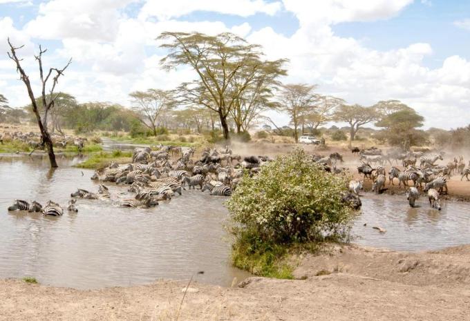 Serengeti Nationalpark