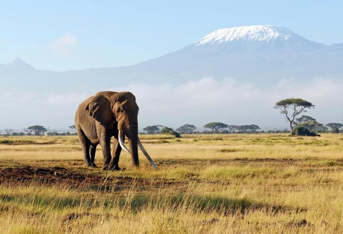 Kenya e Tanzania - Il meglio dell'Africa orientale - Viaggio di andata e ritorno, safari & soggiorno balneare