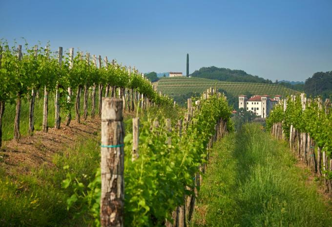 Durch Sloweniens mediterrane Weingärten - Velotour