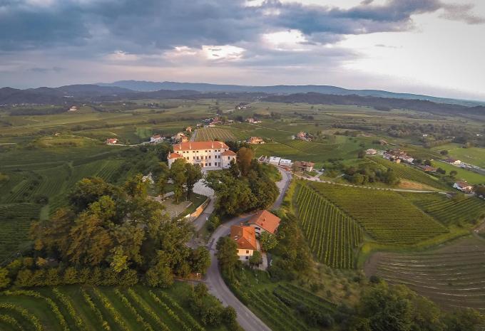 Durch Sloweniens mediterrane Weingärten - Velotour