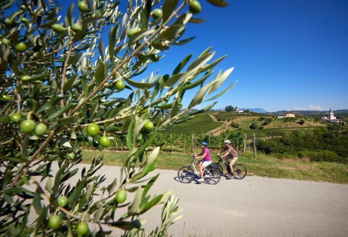 Durch Sloweniens mediterrane Weingärten - Velotour