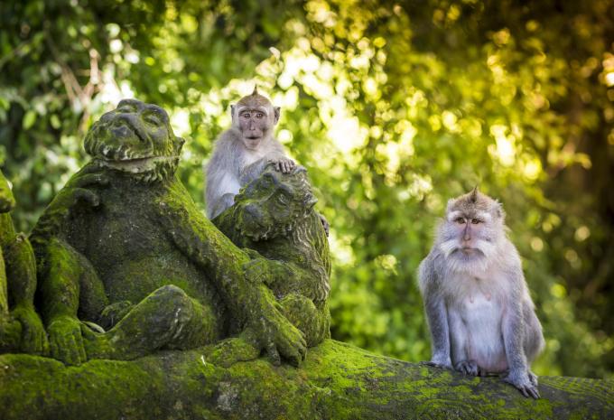 Bali, Indonesien