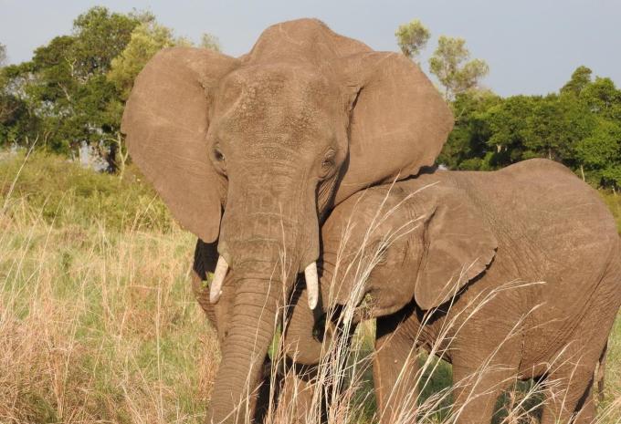 Namibia, Simbabwe & Botswana - Rundreise & Safari