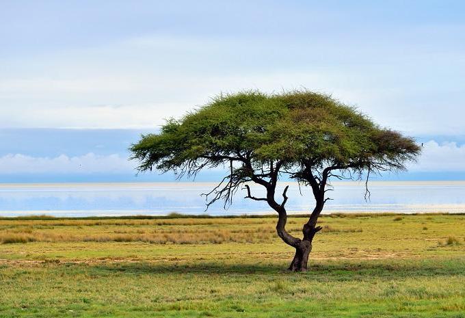 Etosha-Nationalpark