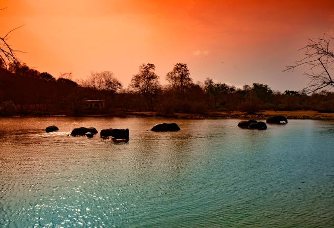Ghana - Natura, storia e mare - Tour e soggiorno balneare