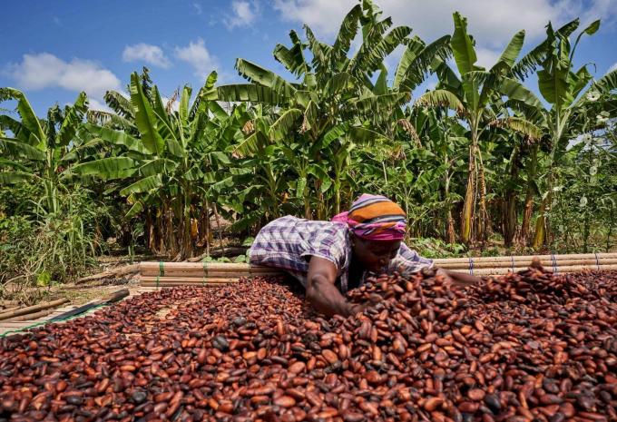 Ghana - Natura, storia e mare - Tour e soggiorno balneare