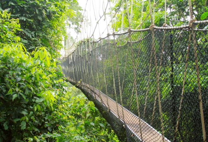 Kakum - Nationalpark