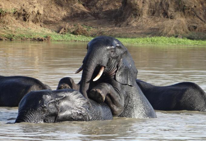 Ghana - Natura, storia e mare - Tour e soggiorno balneare