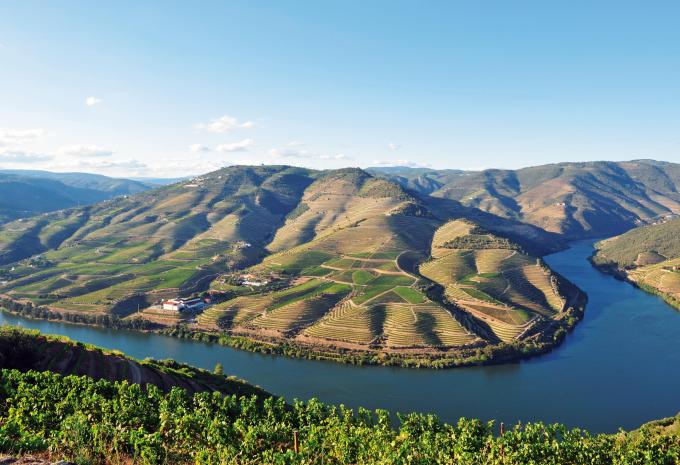 Porto e Douro - Tour della città e Crociera sul fiume