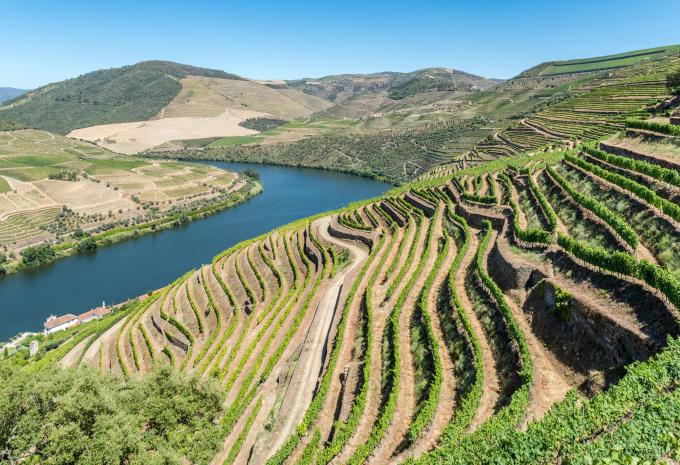 Porto e Douro - Tour della città e Crociera sul fiume