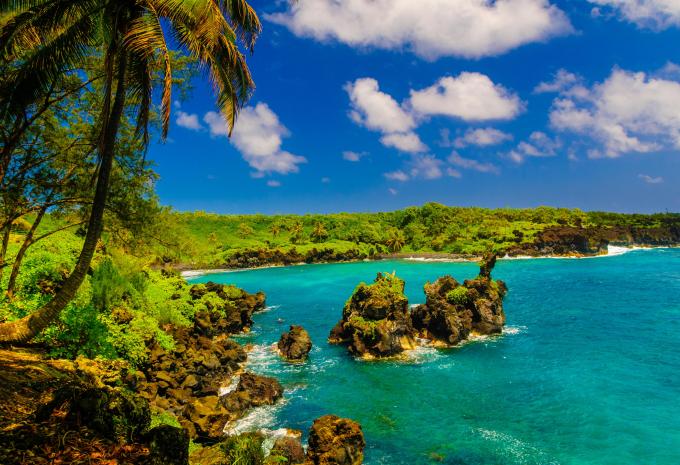 Hawaii, Giappone e Sud-Est asiatico - Crociera e tour