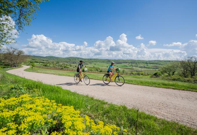Sulla pista ciclabile della Parenzana dall'Italia alla Croazia - Tour in mountain bike