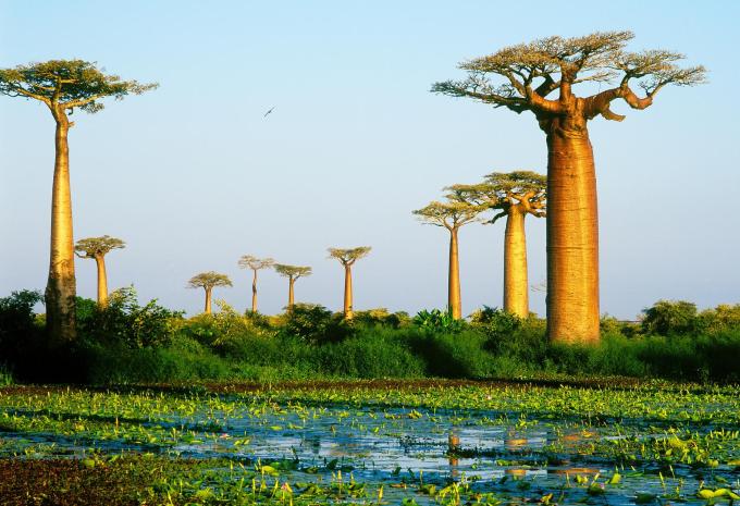 Madagaskar - Rundreise & Baden