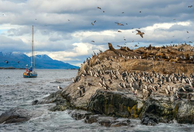 Tour de l'Amérique du Sud - Circuit & crosière