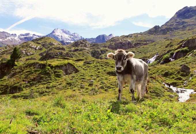 Feichten im Kaunertal