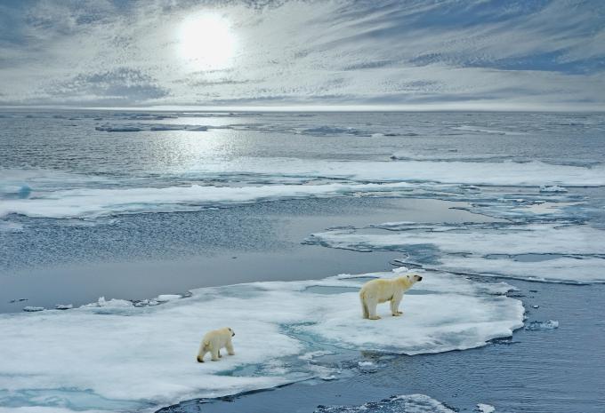Hurtigruten Signature - D'Oslo au Spitzberg - Croisière