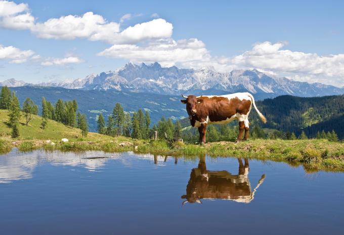 Altenmarkt im Pongau