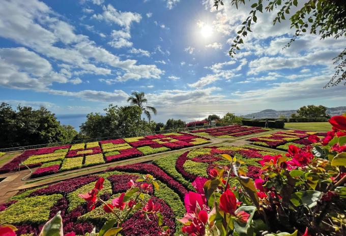 Madera - Escursioni uniche lungo la costa e giardini fioriti - Tour escursionistico