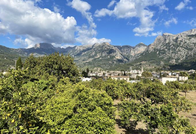 Majorque : une île pleine de contrastes - tour à vélo