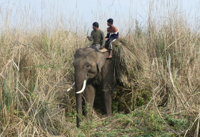 Népal - Circuit et trekking