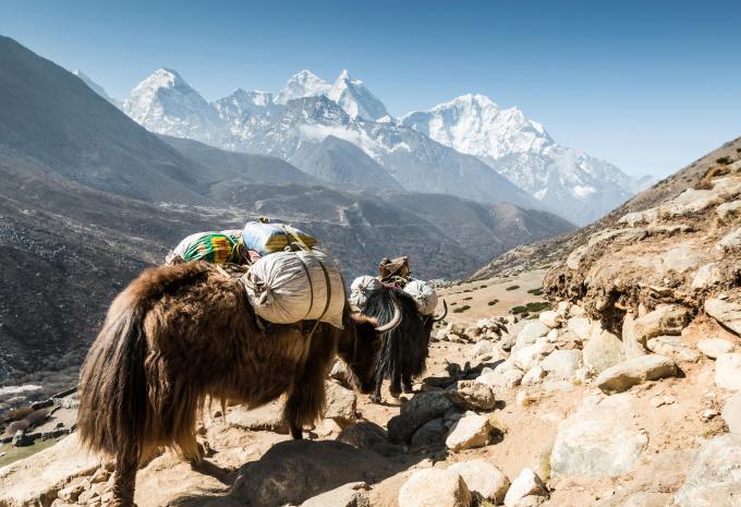 Népal - Circuit et trekking