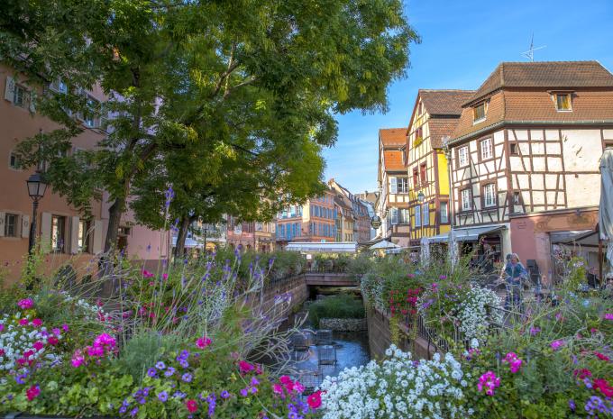 Vigneti e romanticismo in Alsazia - Tour in bicicletta