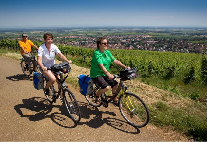 Vigneti e romanticismo in Alsazia - Tour in bicicletta