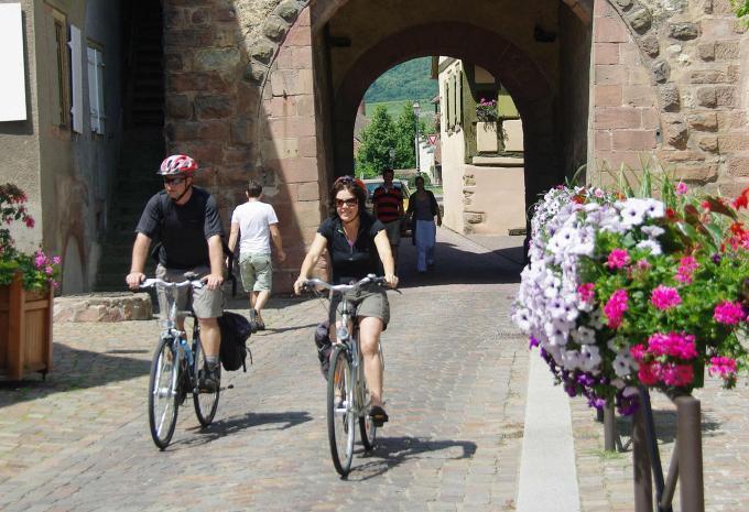 Vigneti e romanticismo in Alsazia - Tour in bicicletta