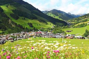 Hinterglemm