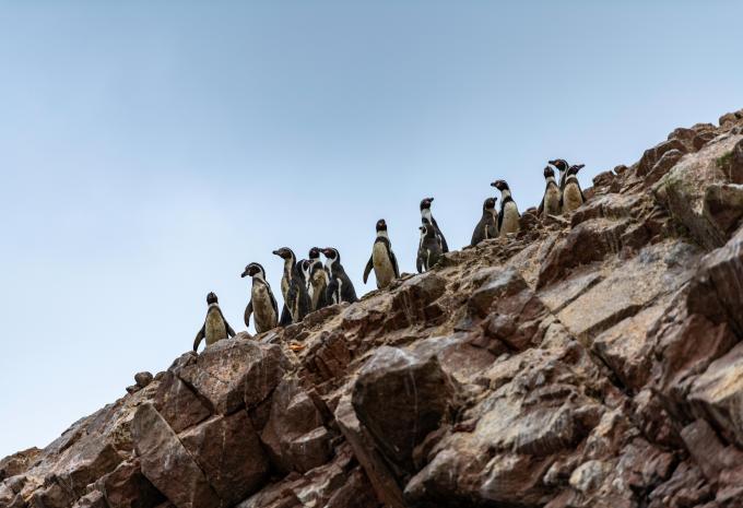 Pérou - Circuit intensif avec itinéraire sud