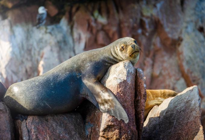 Pérou - Circuit intensif avec itinéraire sud